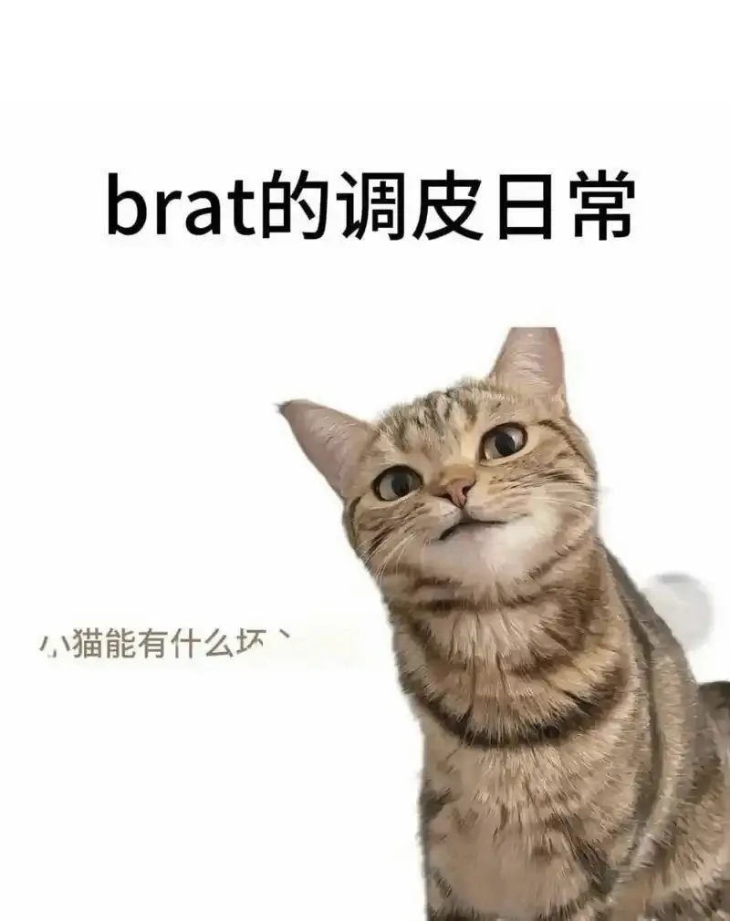西檬之家你是M倾向吗?字母圈属性大揭秘 一