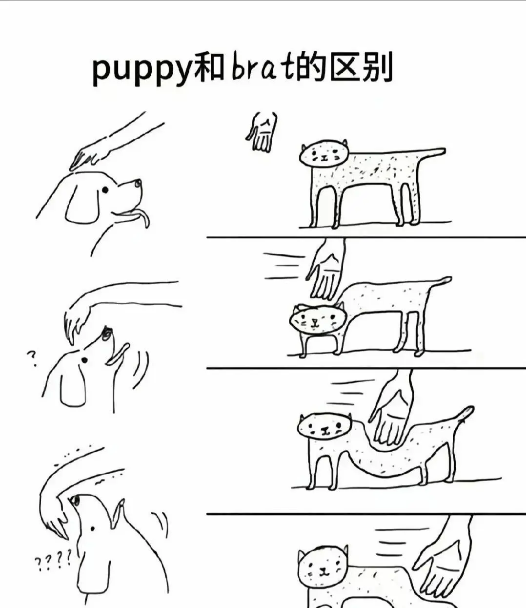 西檬之家ds关系怎么谈?字母圈新人入圈 一