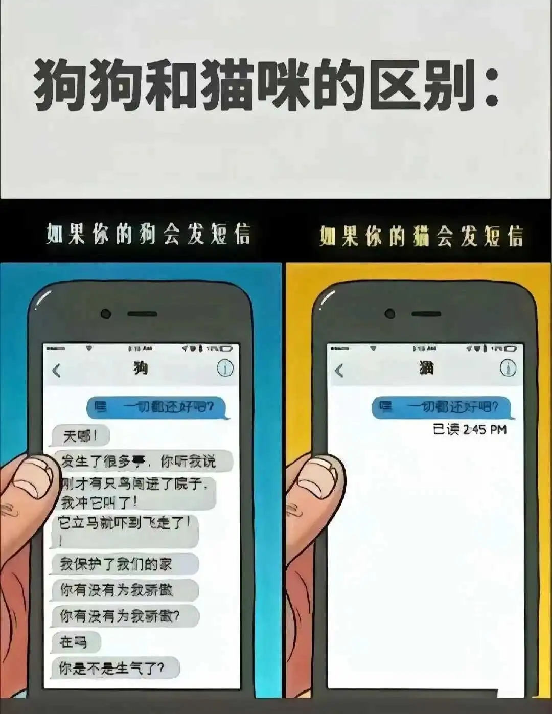 西檬之家sm亚文化是什么?新人如何入圈 一