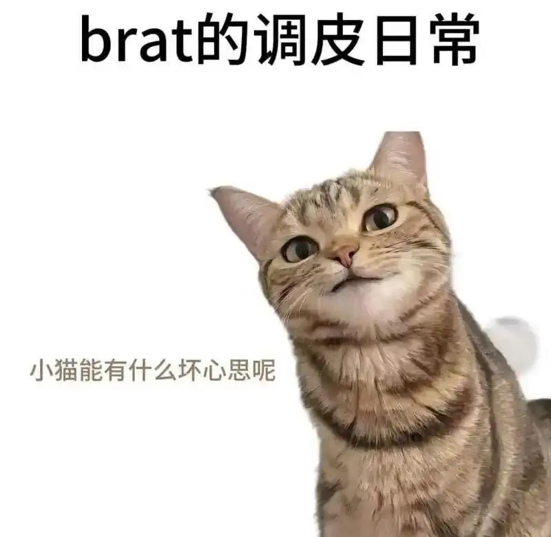 西檬之家brat属性是什么意思? 一