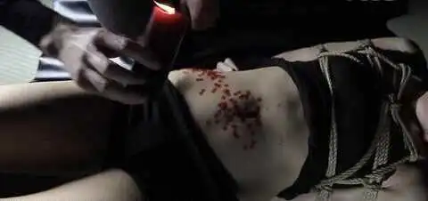 西檬之家sm亚文化的SSC原则是什么? 一