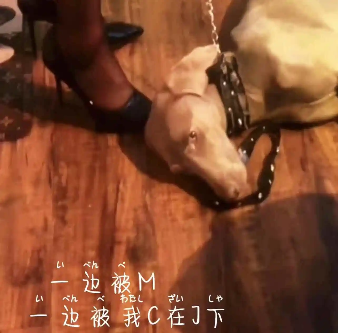 西檬之家brat属性是什么?你是brat吗? 一
