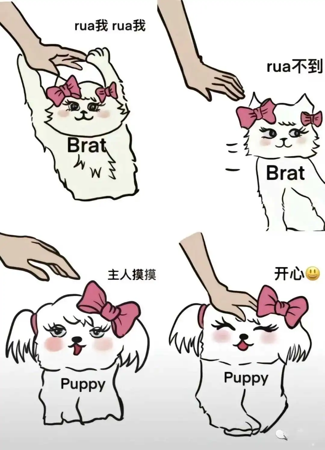 西檬之家k8猫系是什么意思? 一