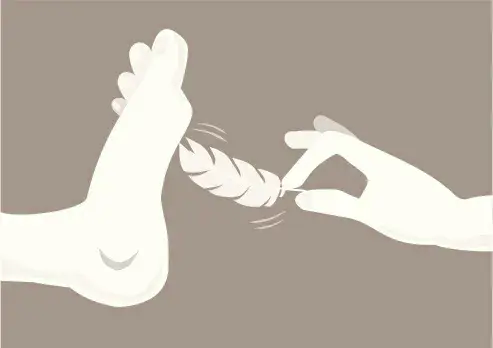 西檬之家K9犬系是什么意思? 一