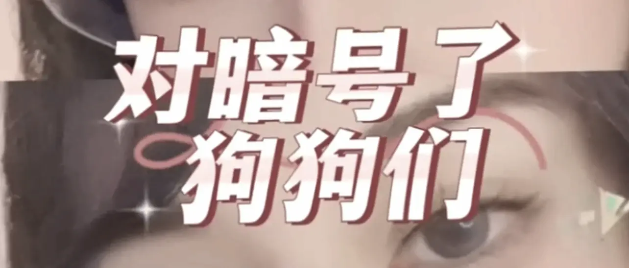 西檬之家字母圈入圈指南:新人必备的安全知识 一